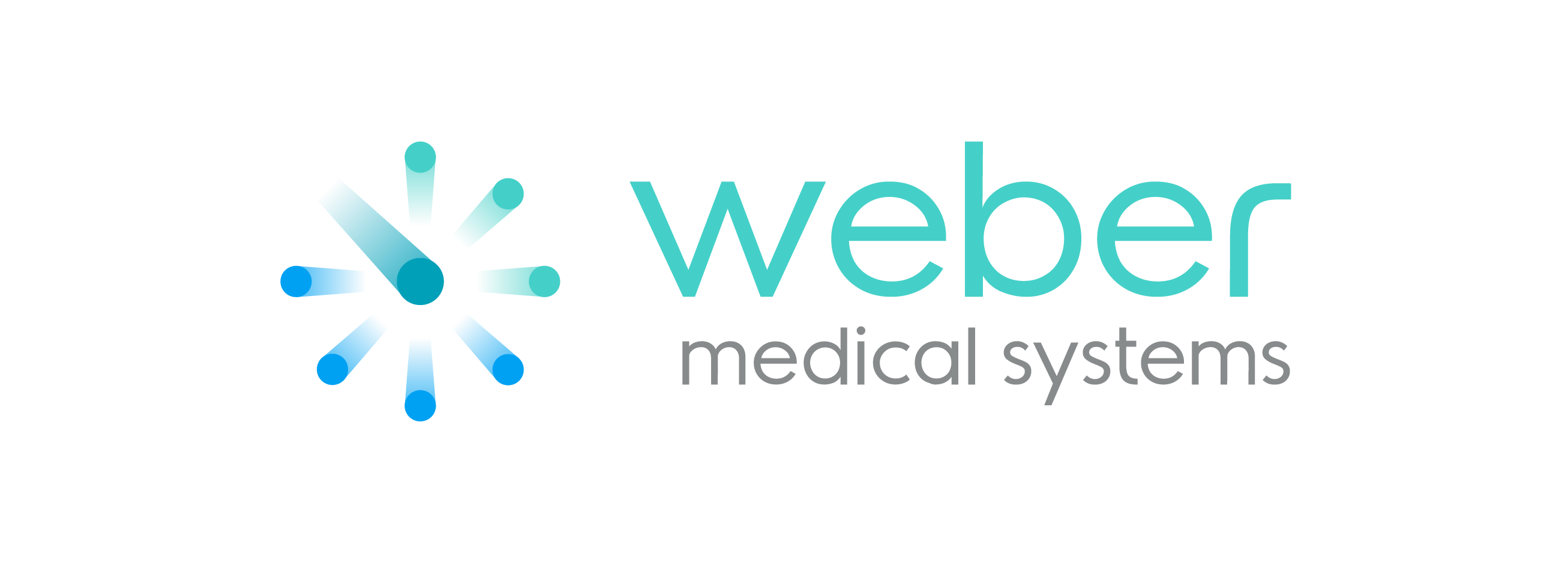Weber Medical Systems Logo