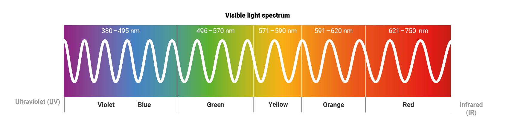 Graphic of the visible light spectrum, wavy line on a background with a rainbow gradient from purple to red and corresponding indication of the nanometers of this light color